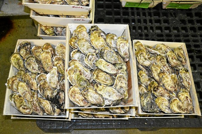 COCCIMARKET SARL DU GOUT Traiteur Boucherie Le Pertre Huitres 3 COCCIMARKET SARL DU GOUT Traiteur Boucherie Le Pertre Huitres 3